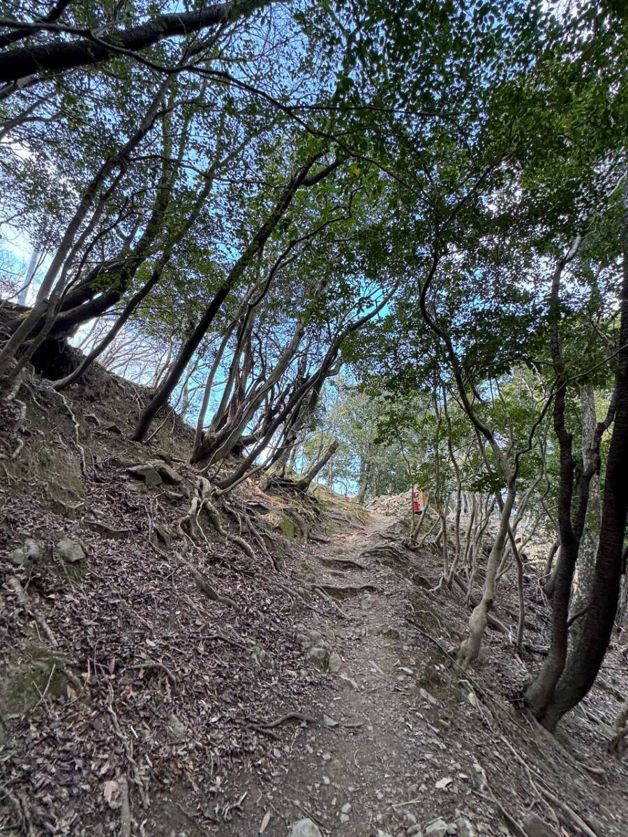 淡路島最高峰「諭鶴羽山」自然や海、神社など見どころ沢山の山