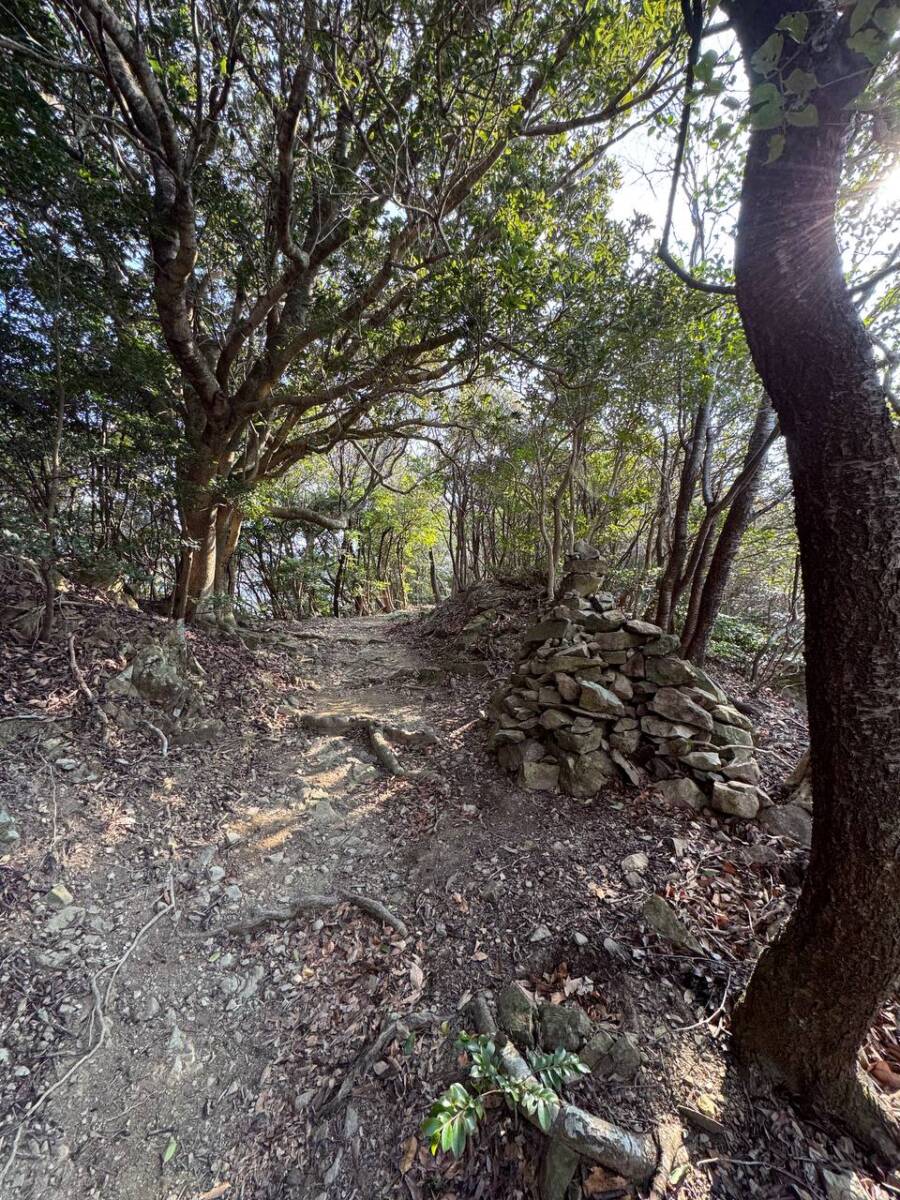 淡路島最高峰「諭鶴羽山」自然や海、神社など見どころ沢山の山