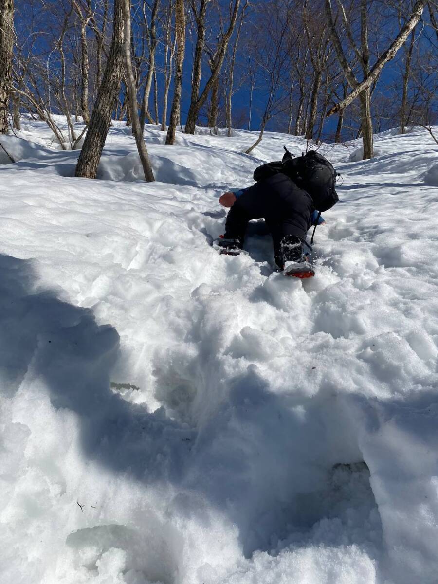 雪深すぎる大雪庇ロードの絶景!! 伊吹山地の最北の山「横山岳」