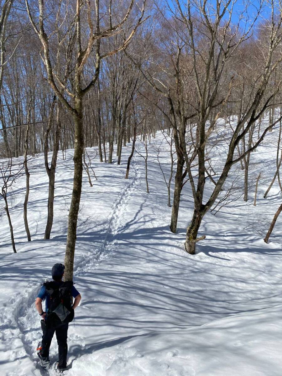 雪深すぎる大雪庇ロードの絶景!! 伊吹山地の最北の山「横山岳」