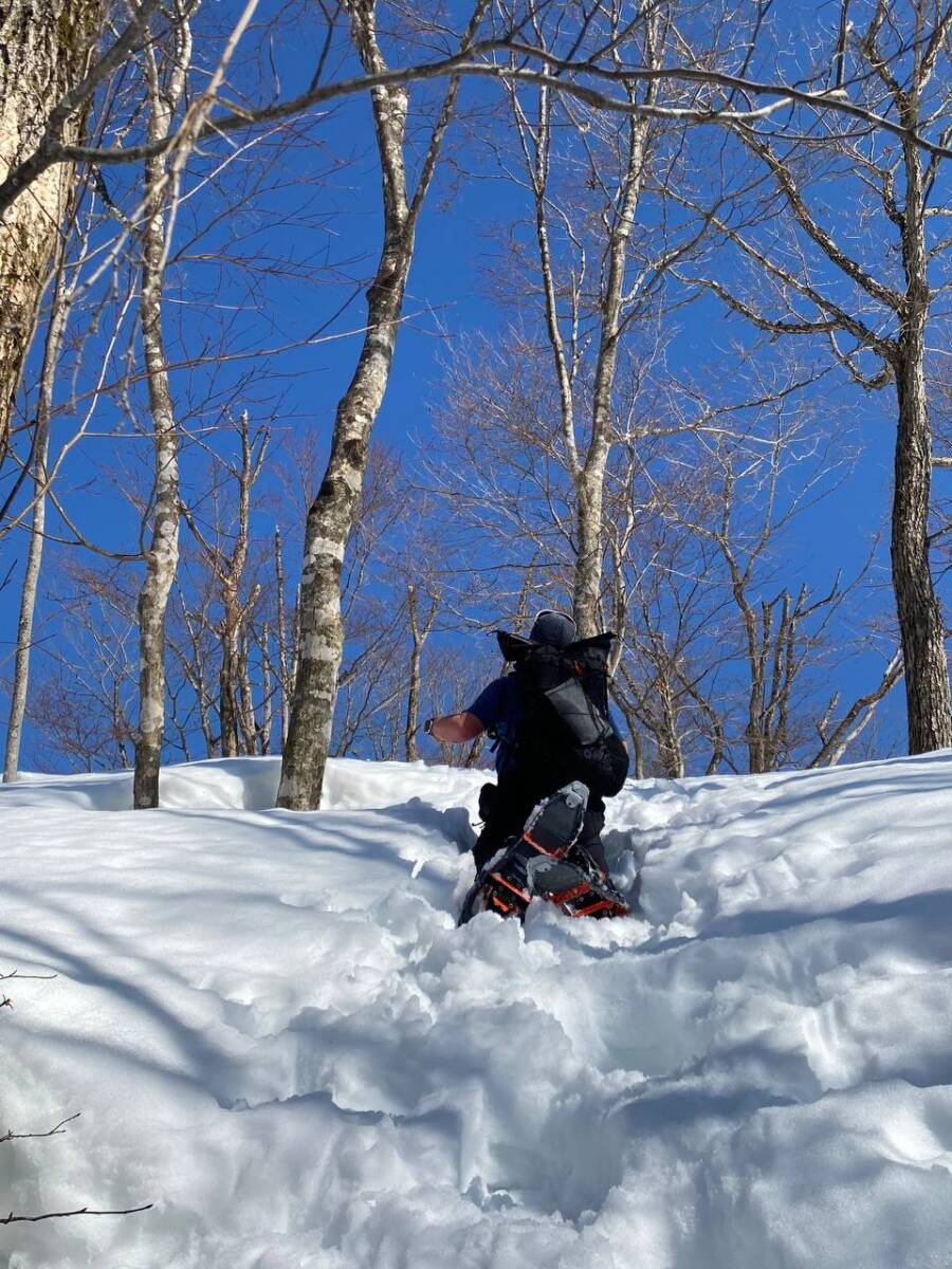 雪深すぎる大雪庇ロードの絶景!! 伊吹山地の最北の山「横山岳」