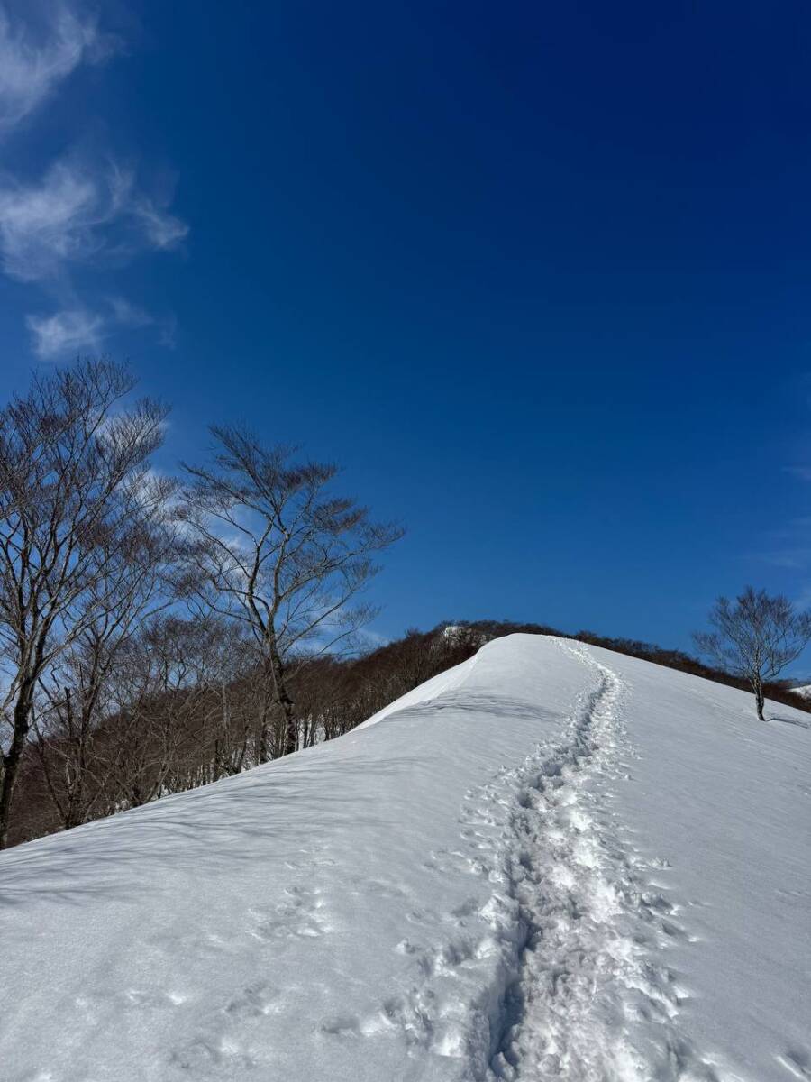 雪深すぎる大雪庇ロードの絶景!! 伊吹山地の最北の山「横山岳」