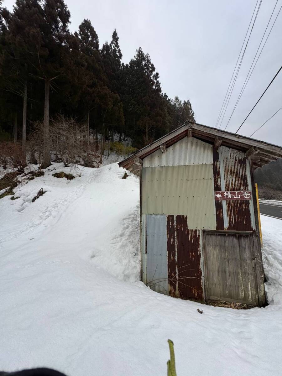 雪深すぎる大雪庇ロードの絶景!! 伊吹山地の最北の山「横山岳」