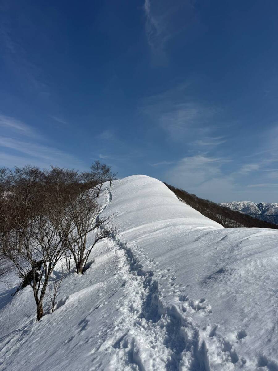 雪深すぎる大雪庇ロードの絶景!! 伊吹山地の最北の山「横山岳」