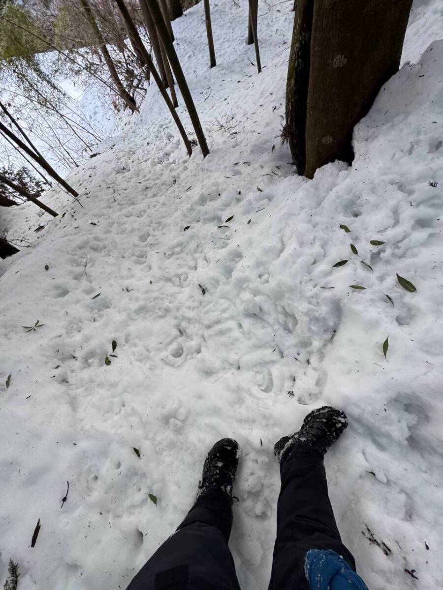 雪深すぎる大雪庇ロードの絶景!! 伊吹山地の最北の山「横山岳」