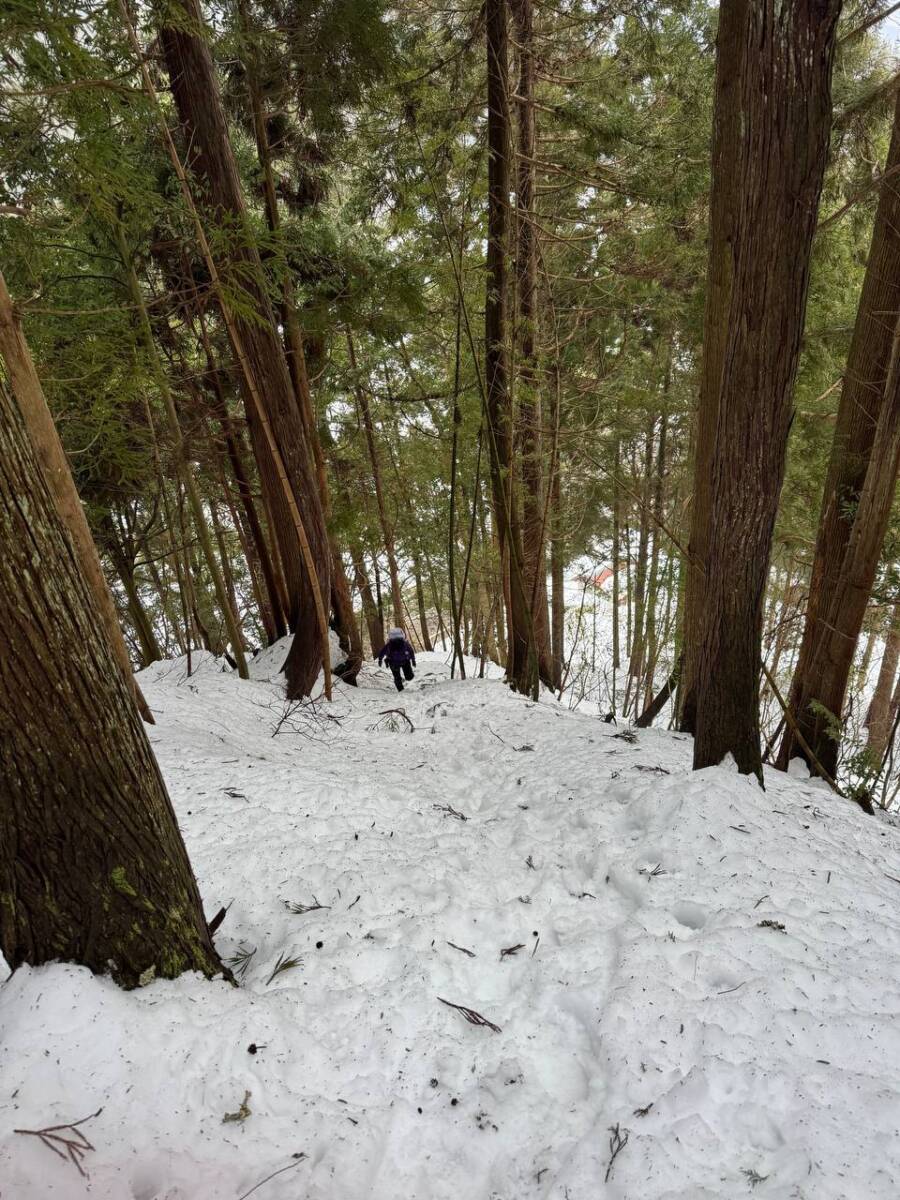 雪深すぎる大雪庇ロードの絶景!! 伊吹山地の最北の山「横山岳」