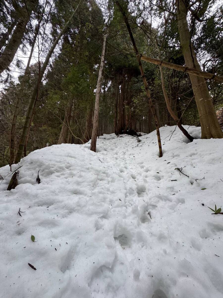 雪深すぎる大雪庇ロードの絶景!! 伊吹山地の最北の山「横山岳」