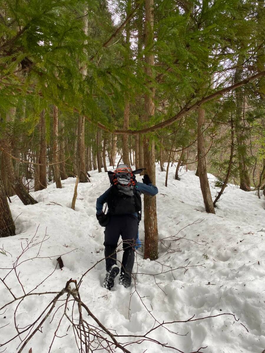 雪深すぎる大雪庇ロードの絶景!! 伊吹山地の最北の山「横山岳」