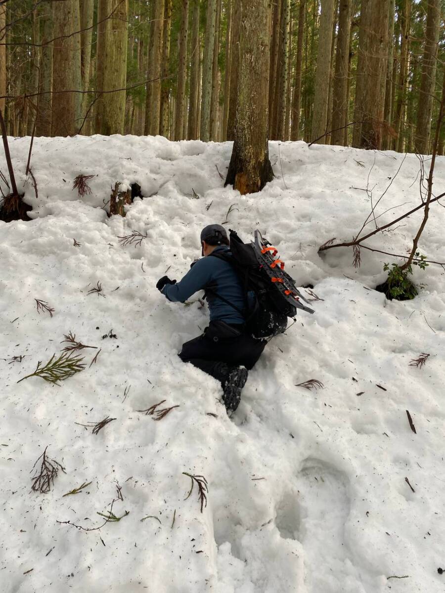 雪深すぎる大雪庇ロードの絶景!! 伊吹山地の最北の山「横山岳」