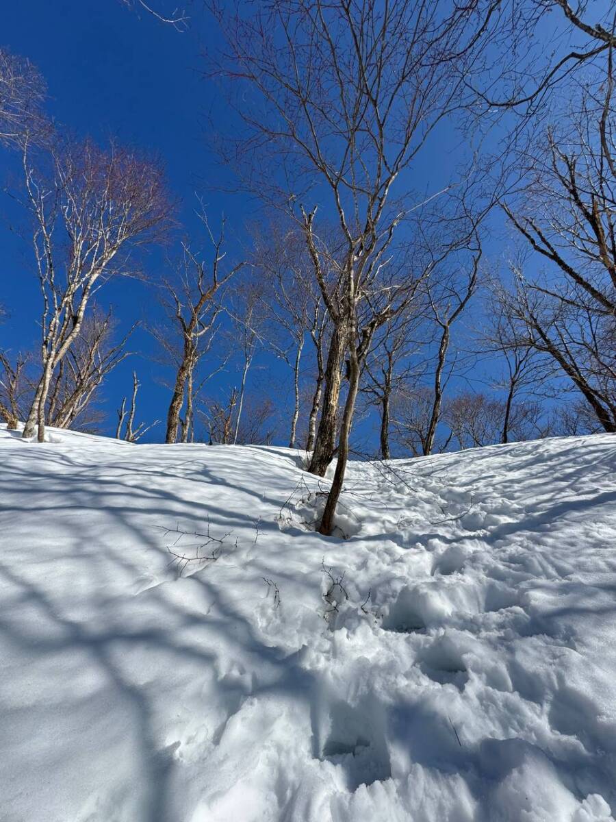 雪深すぎる大雪庇ロードの絶景!! 伊吹山地の最北の山「横山岳」