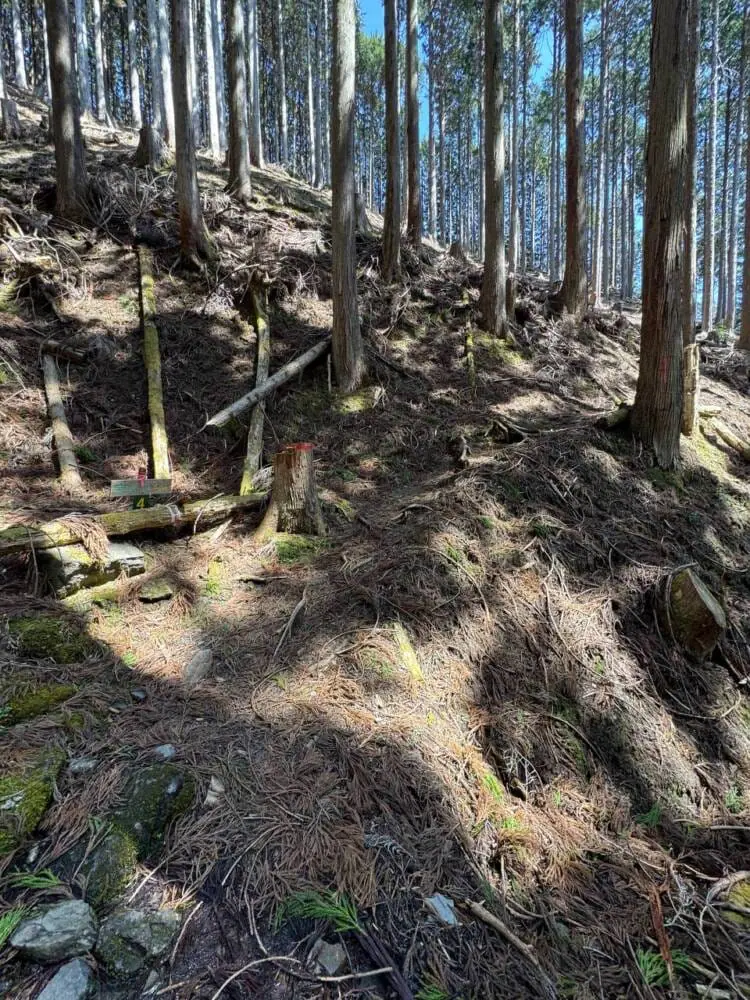 京都の奥地、たくさんの山小屋がありハイキングが楽しめる「雲取山」