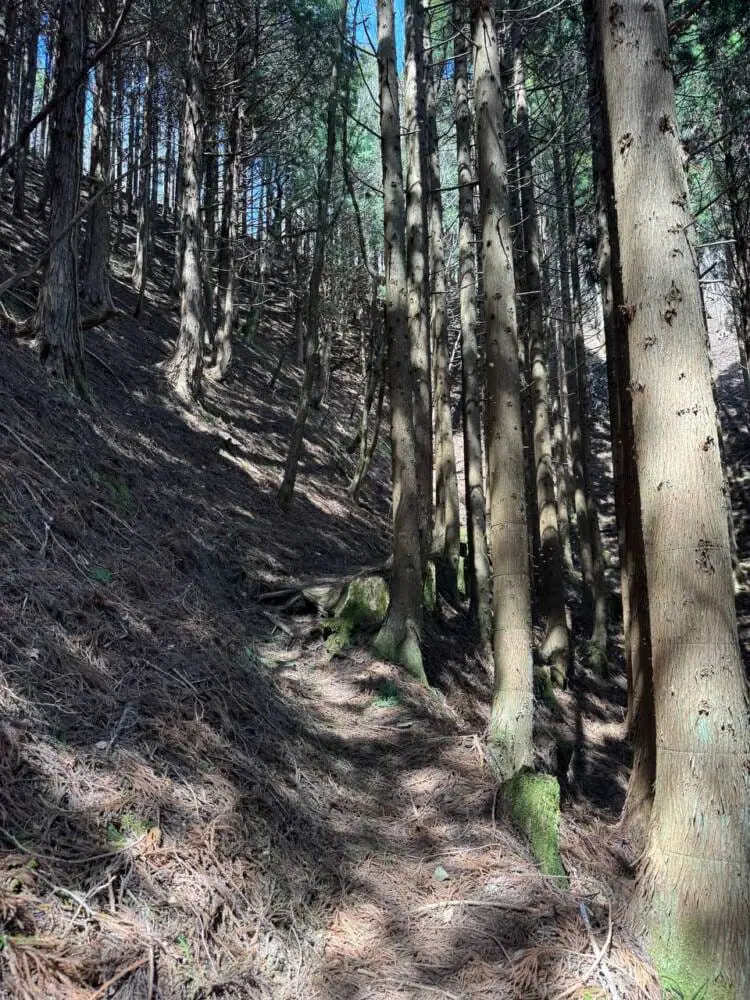 京都の奥地、たくさんの山小屋がありハイキングが楽しめる「雲取山」