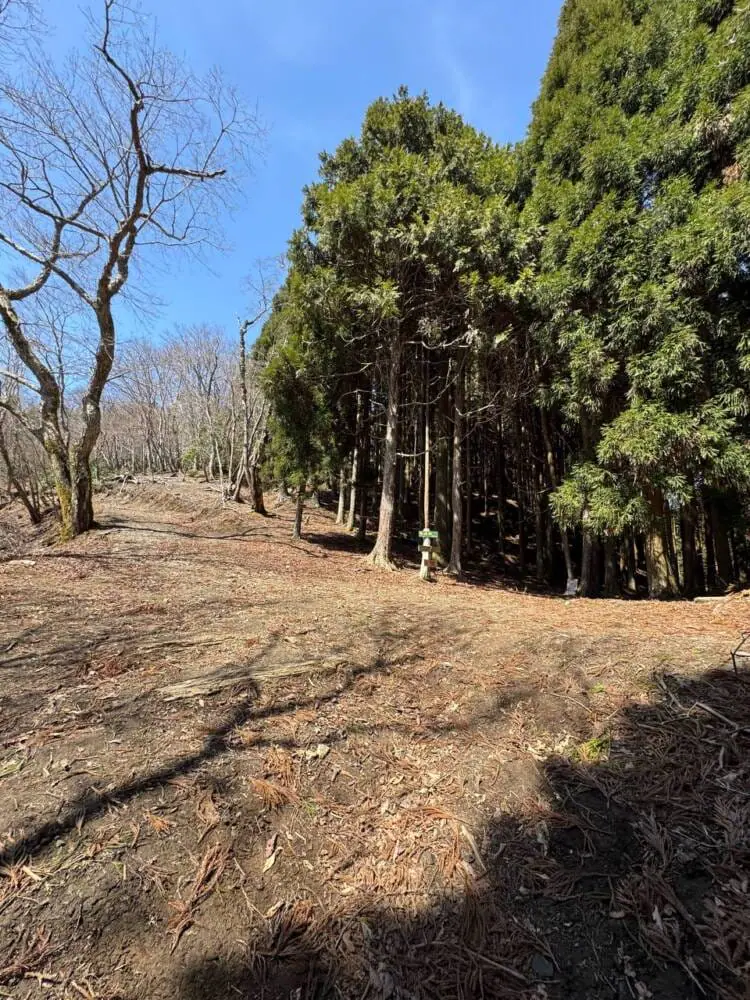 京都の奥地、たくさんの山小屋がありハイキングが楽しめる「雲取山」