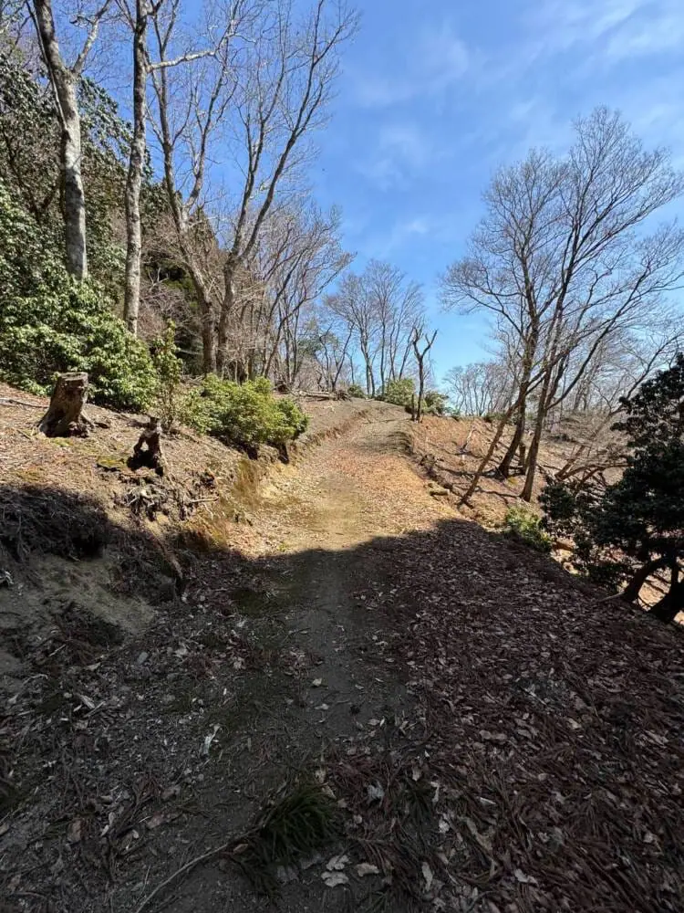 京都の奥地、たくさんの山小屋がありハイキングが楽しめる「雲取山」