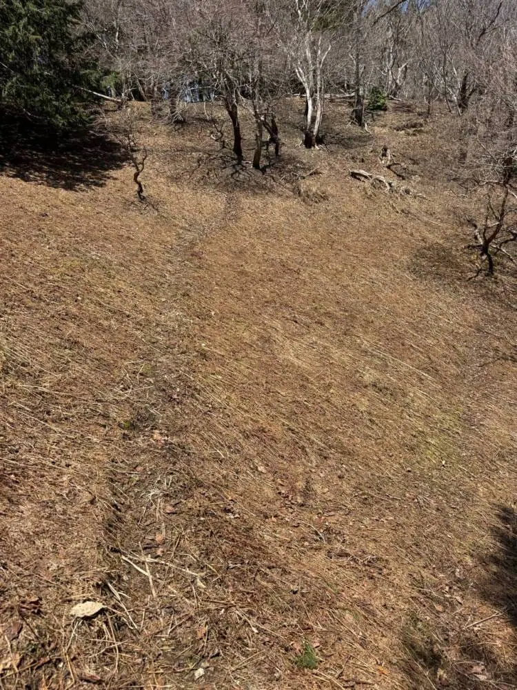 京都の奥地、たくさんの山小屋がありハイキングが楽しめる「雲取山」