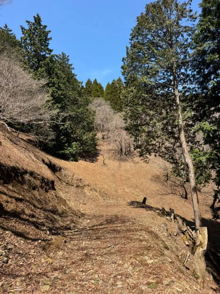 京都の奥地、たくさんの山小屋がありハイキングが楽しめる「雲取山」