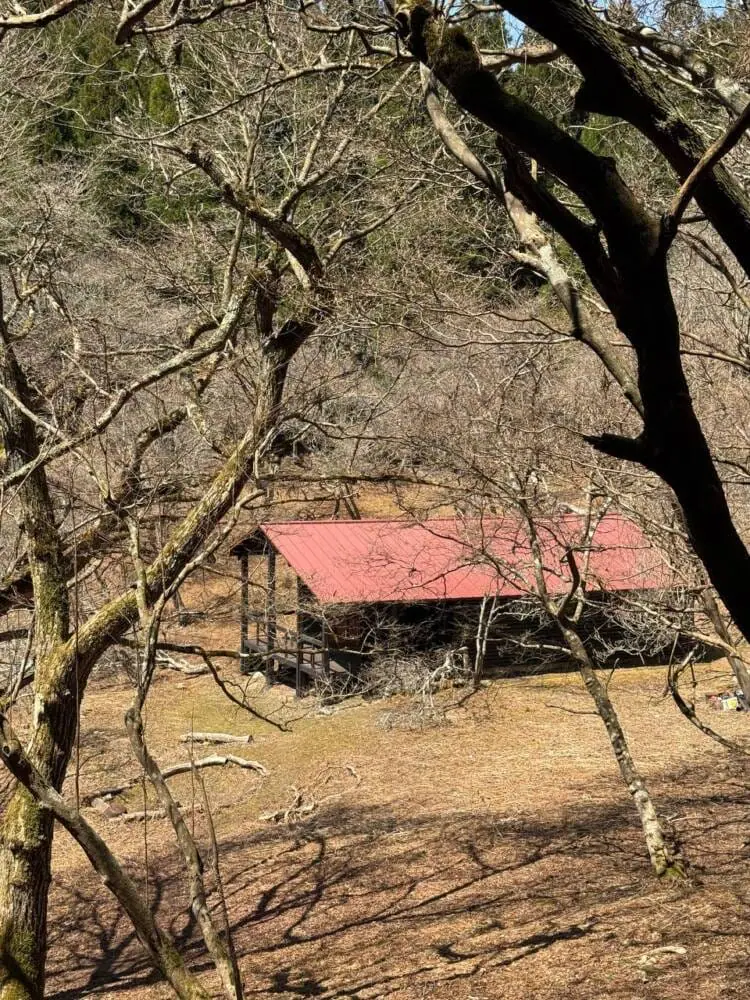 京都の奥地、たくさんの山小屋がありハイキングが楽しめる「雲取山」