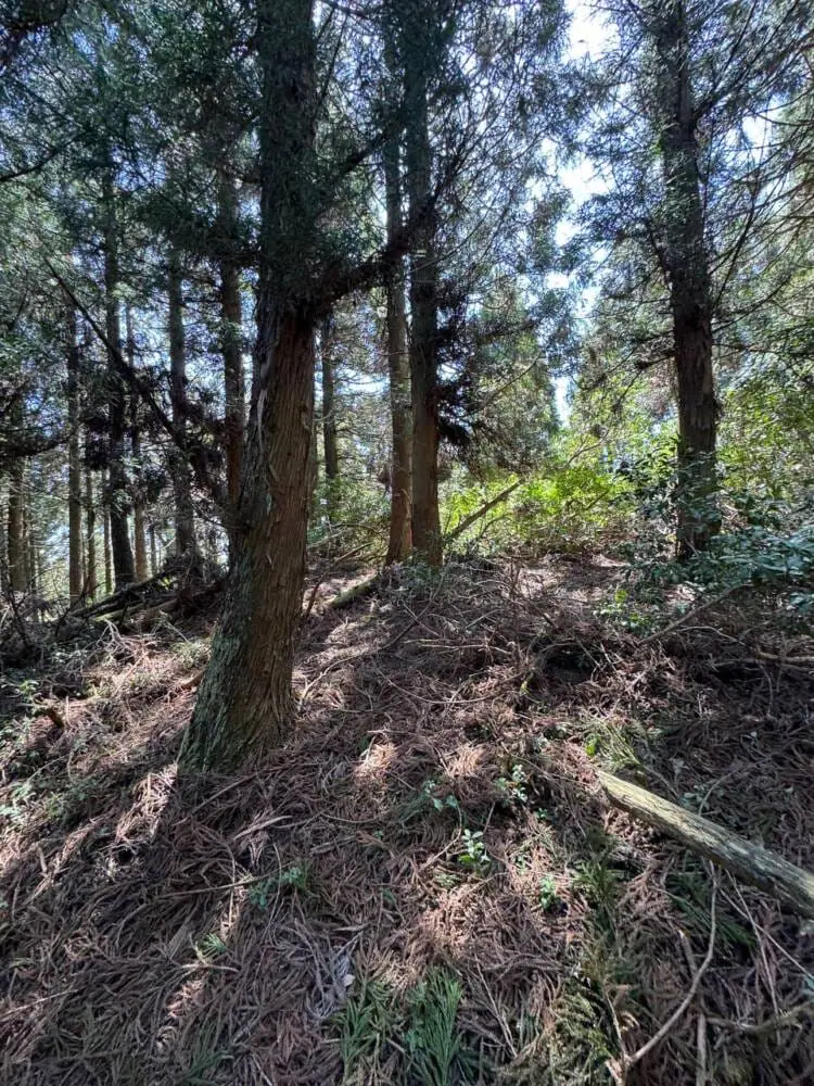 京都の奥地、たくさんの山小屋がありハイキングが楽しめる「雲取山」