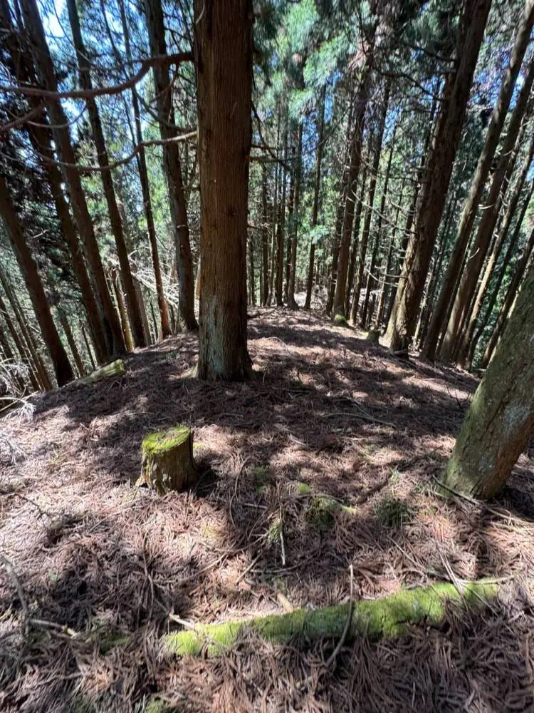 京都の奥地、たくさんの山小屋がありハイキングが楽しめる「雲取山」