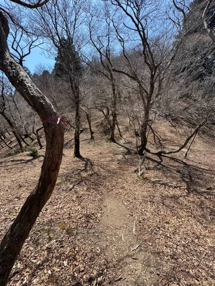 京都の奥地、たくさんの山小屋がありハイキングが楽しめる「雲取山」