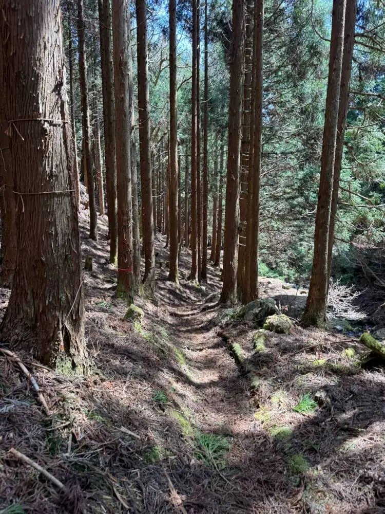 京都の奥地、たくさんの山小屋がありハイキングが楽しめる「雲取山」