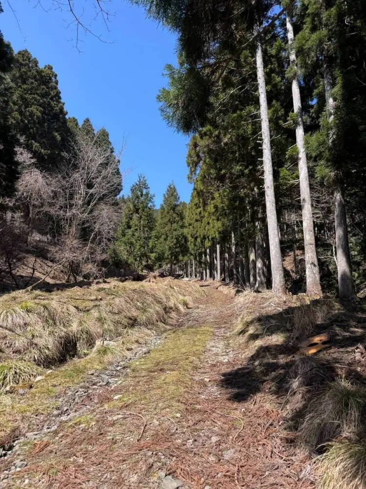 京都の奥地、たくさんの山小屋がありハイキングが楽しめる「雲取山」