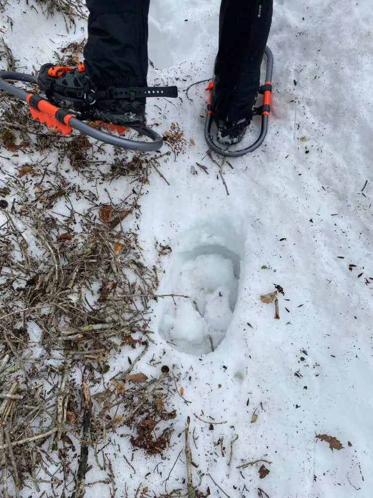 ベルモント belmont わかん ワカン かんじき スノーシュー 登山 アウトドア ワカン人気おすすめ10選！雪山登山に！ベルト式・ラチェット式