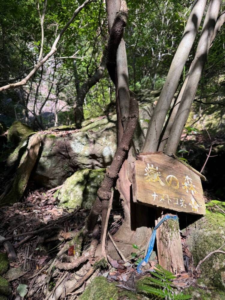 火山活動で面白い岩がたくさん見れるアドベンチャーコース 『嶽ノ森山』