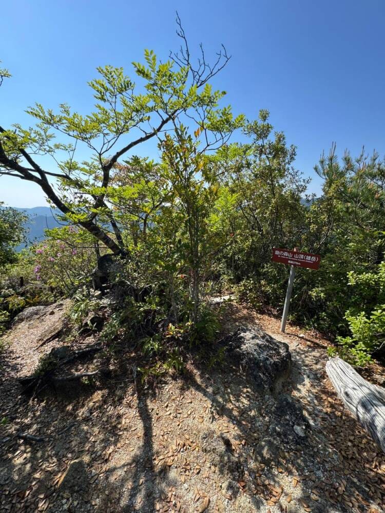 火山活動で面白い岩がたくさん見れるアドベンチャーコース 『嶽ノ森山』