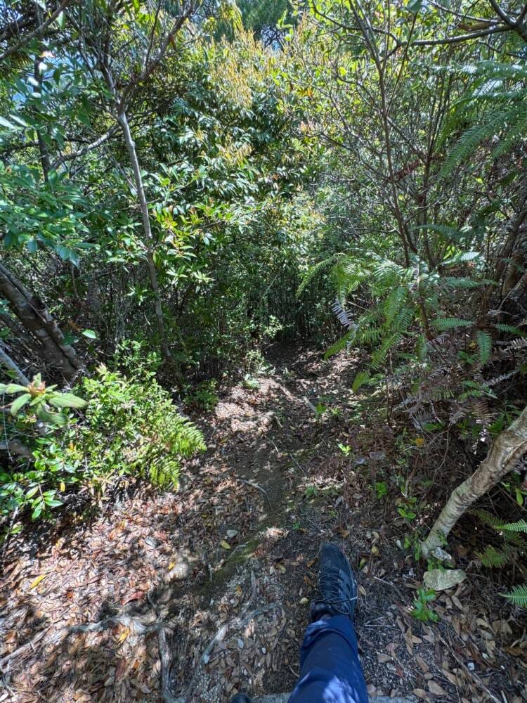 火山活動で面白い岩がたくさん見れるアドベンチャーコース 『嶽ノ森山』