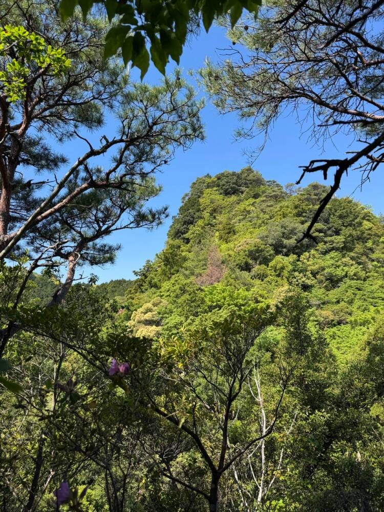 火山活動で面白い岩がたくさん見れるアドベンチャーコース 『嶽ノ森山』