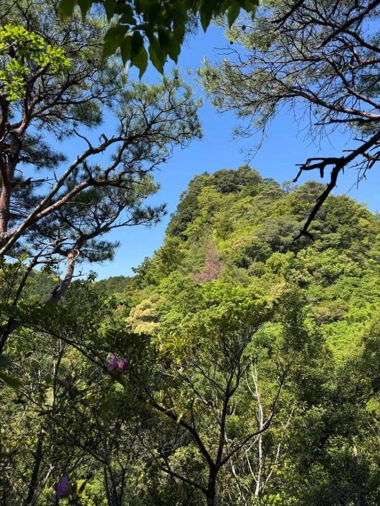 火山活動で面白い岩がたくさん見れるアドベンチャーコース 『嶽ノ森山』