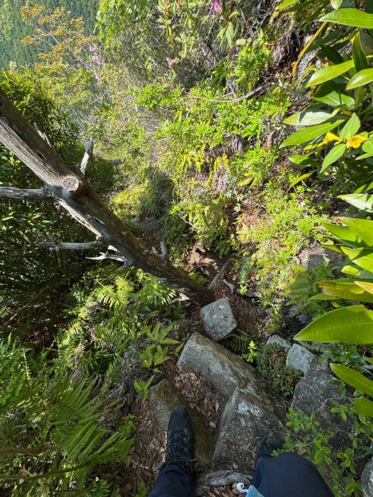 火山活動で面白い岩がたくさん見れるアドベンチャーコース 『嶽ノ森山』