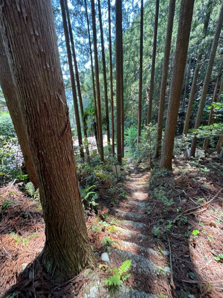 火山活動で面白い岩がたくさん見れるアドベンチャーコース 『嶽ノ森山』