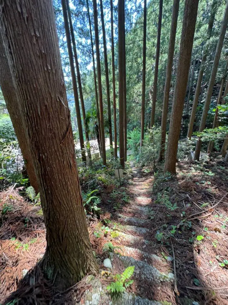 火山活動で面白い岩がたくさん見れるアドベンチャーコース 『嶽ノ森山』