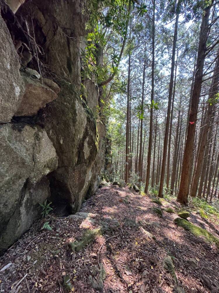 火山活動で面白い岩がたくさん見れるアドベンチャーコース 『嶽ノ森山』