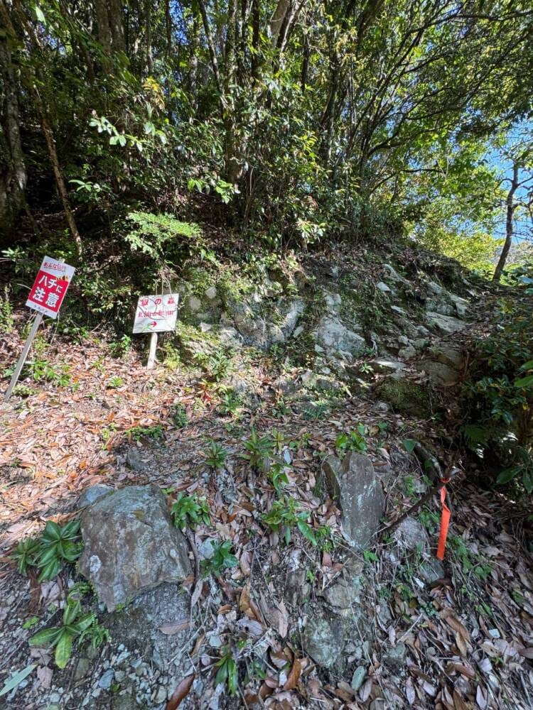 火山活動で面白い岩がたくさん見れるアドベンチャーコース 『嶽ノ森山』