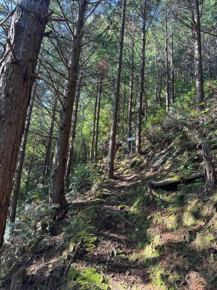 火山活動で面白い岩がたくさん見れるアドベンチャーコース 『嶽ノ森山』