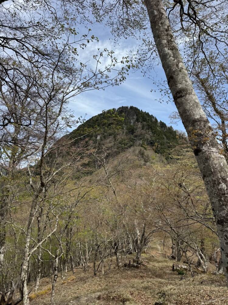 美しいナメゴ谷も楽しめる大峯奥駈道を縦走して登る『行者還岳』