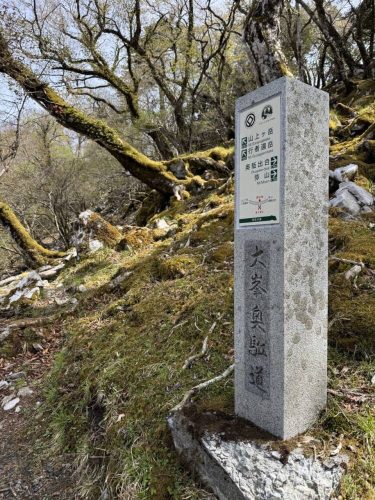 美しいナメゴ谷も楽しめる大峯奥駈道を縦走して登る『行者還岳』