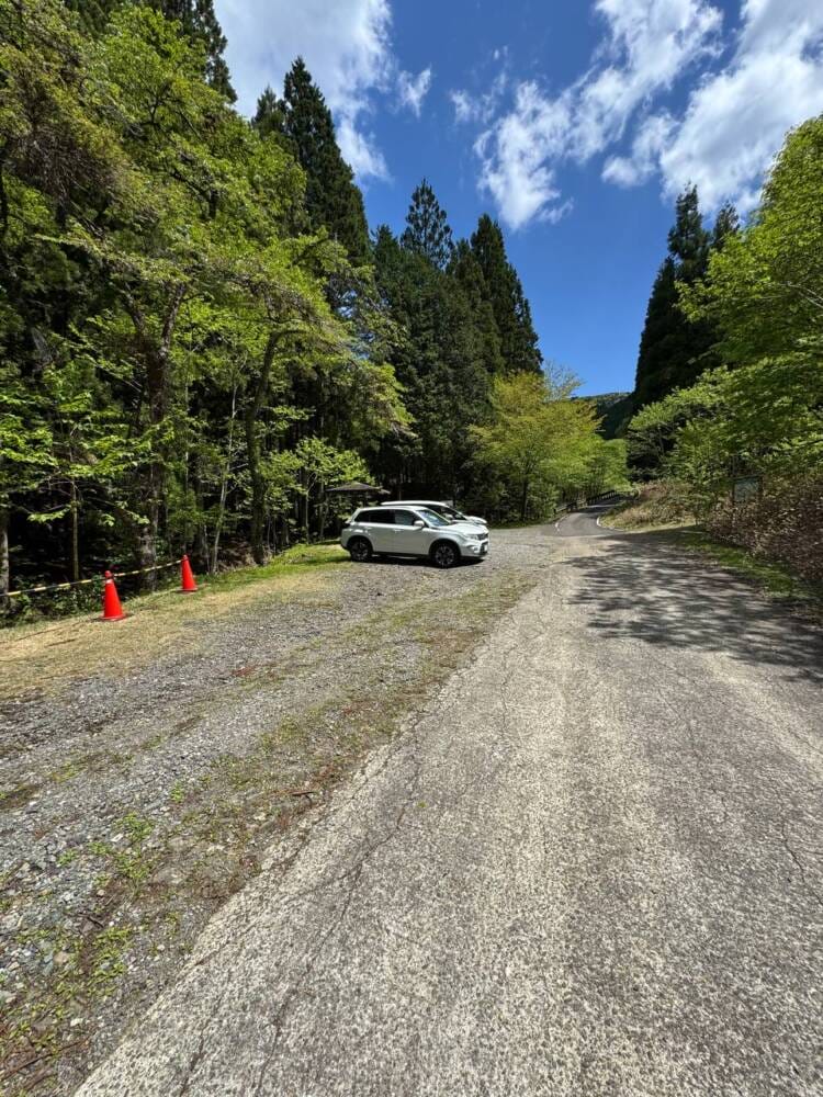 樹齢2000年のカツラ、山も谷も深い自然あふれる山『東床尾山』