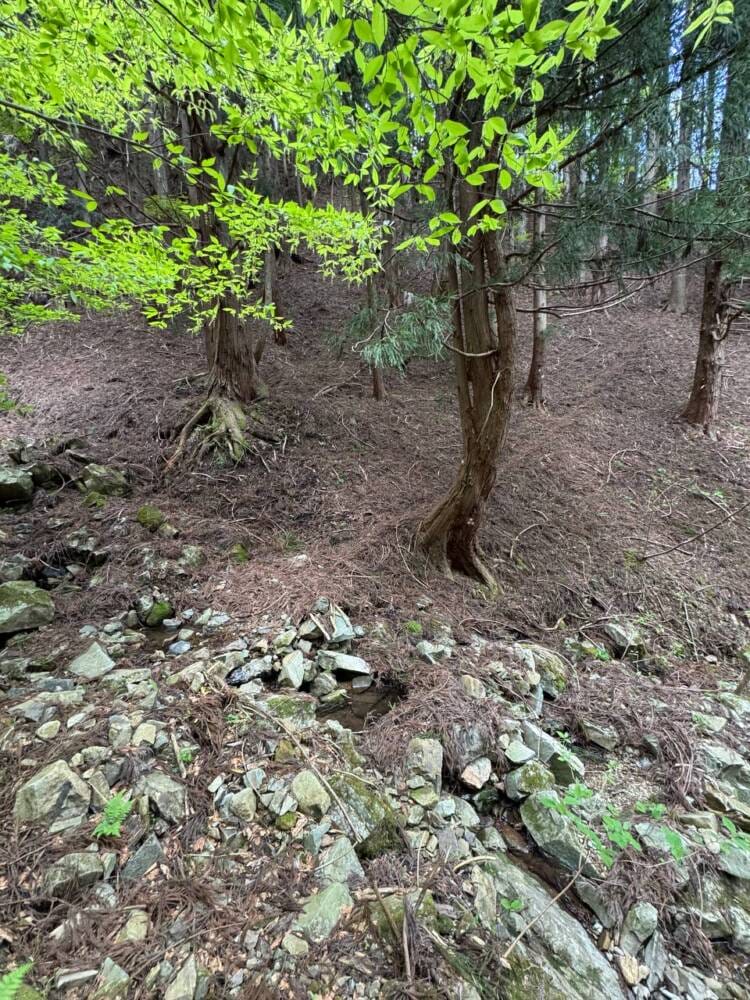 樹齢2000年のカツラ、山も谷も深い自然あふれる山『東床尾山』
