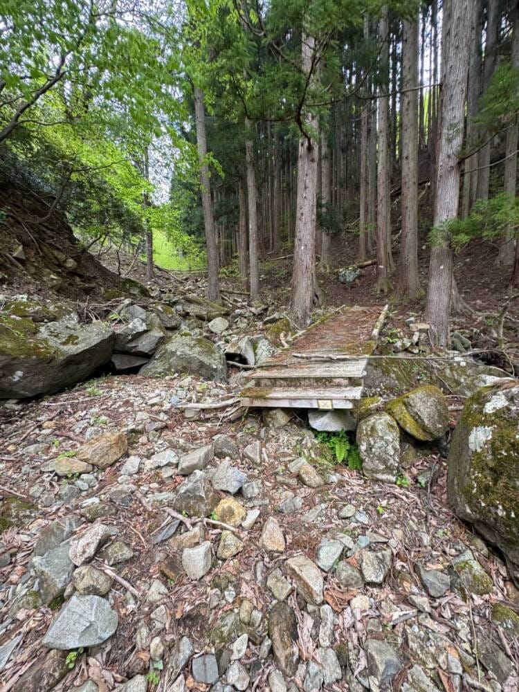 樹齢2000年のカツラ、山も谷も深い自然あふれる山『東床尾山』