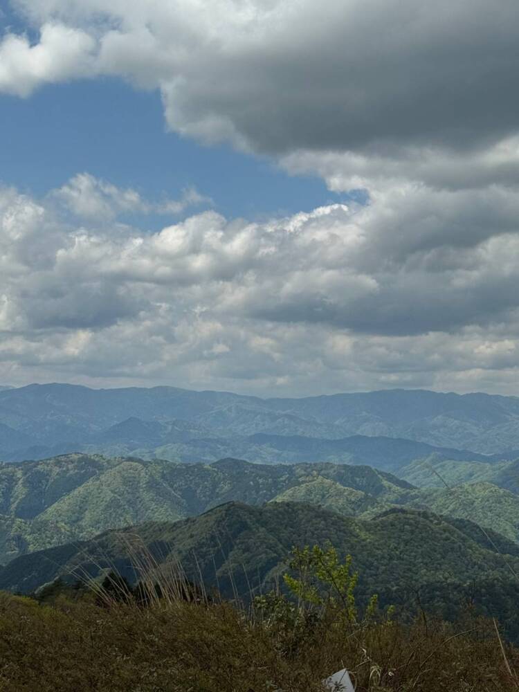 樹齢2000年のカツラ、山も谷も深い自然あふれる山『東床尾山』
