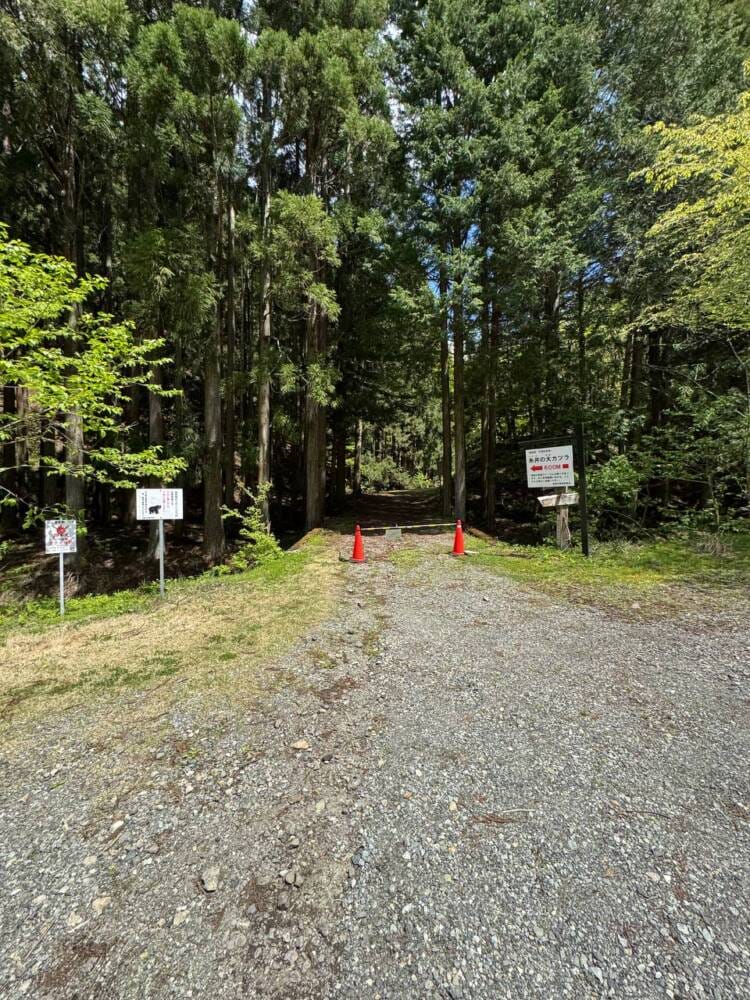 樹齢2000年のカツラ、山も谷も深い自然あふれる山『東床尾山』