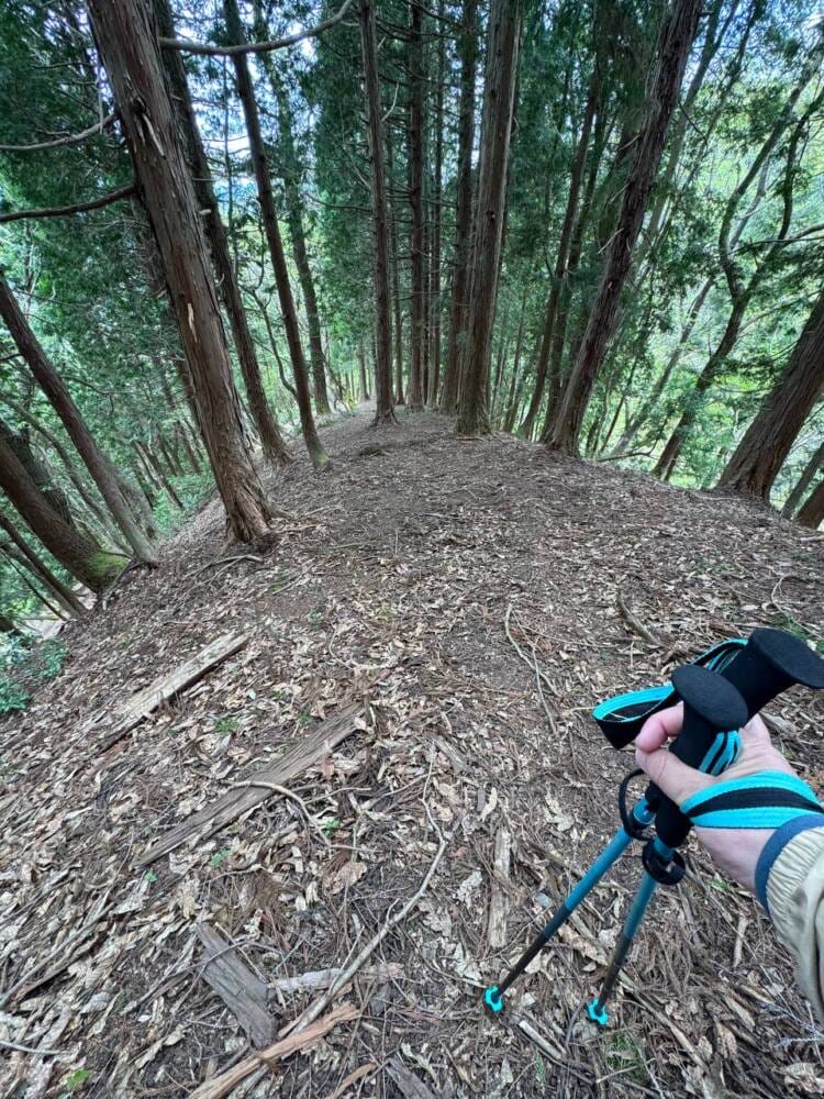 樹齢2000年のカツラ、山も谷も深い自然あふれる山『東床尾山』
