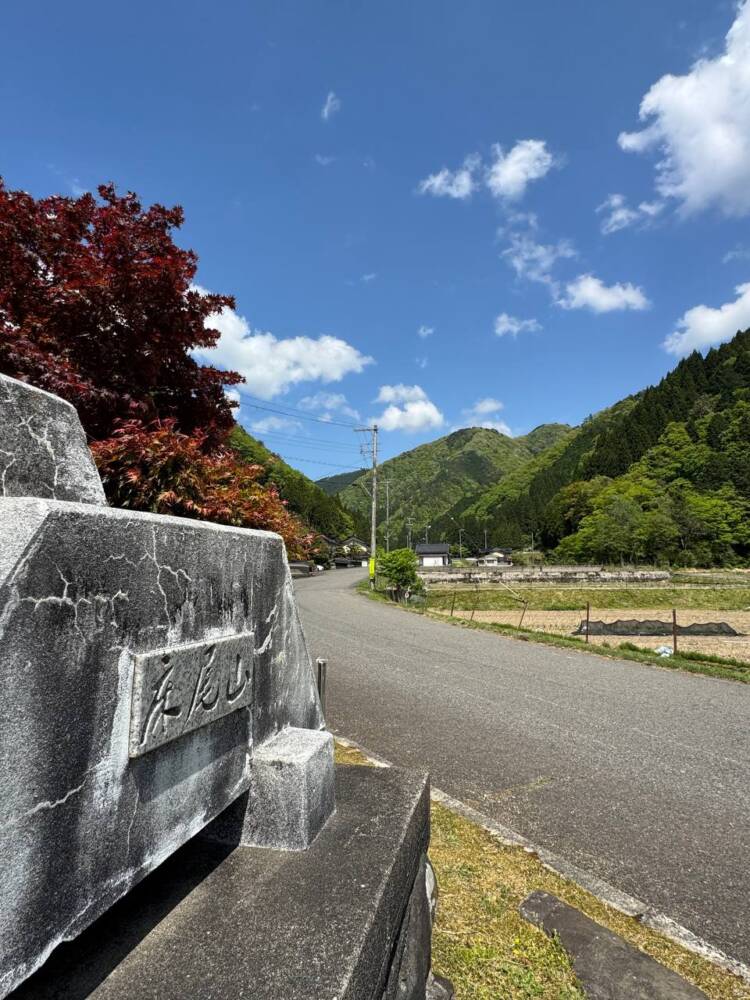 樹齢2000年のカツラ、山も谷も深い自然あふれる山『東床尾山』