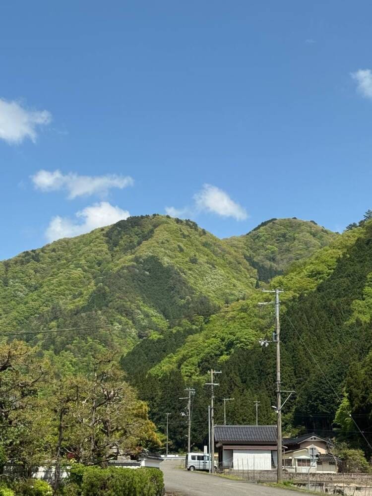樹齢2000年のカツラ、山も谷も深い自然あふれる山『東床尾山』