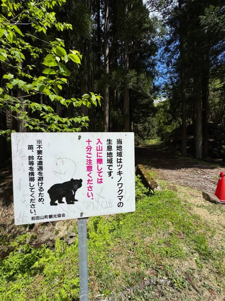 樹齢2000年のカツラ、山も谷も深い自然あふれる山『東床尾山』
