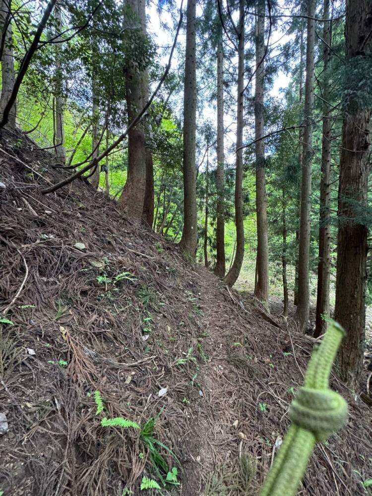 樹齢2000年のカツラ、山も谷も深い自然あふれる山『東床尾山』